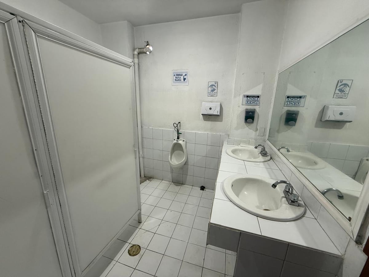 Sanitarios para niños